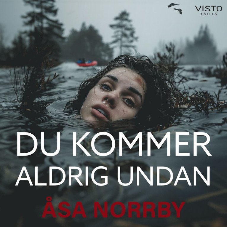 Åsa Norrby - Du kommer aldrig undan, Ljudbok