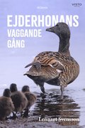 Ejderhonans vaggande gng