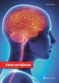 Fakta om hjrnan