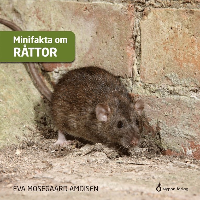 Eva Mosegaard Amdisen - Minifakta om råttor, Ljudbok