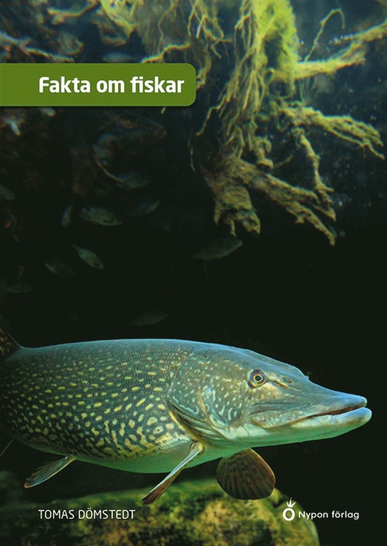 Tomas Dömstedt - Fakta om fiskar, E-bok