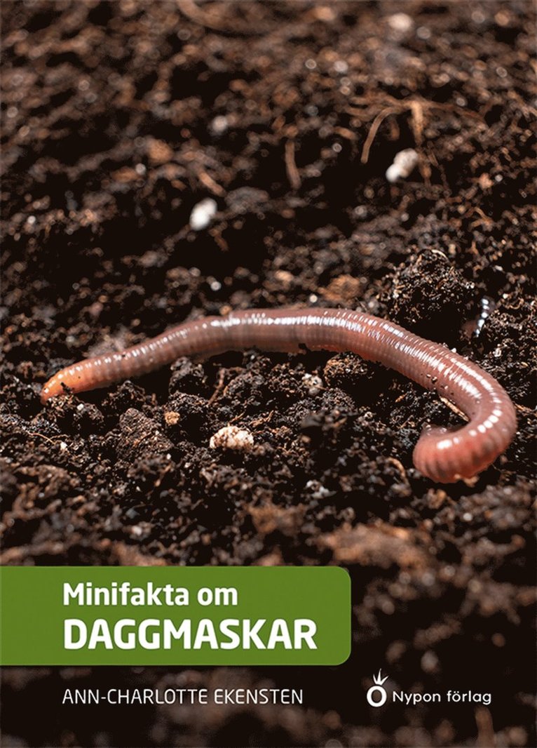 Ann-Charlotte Ekensten - Minifakta om daggmaskar, E-bok