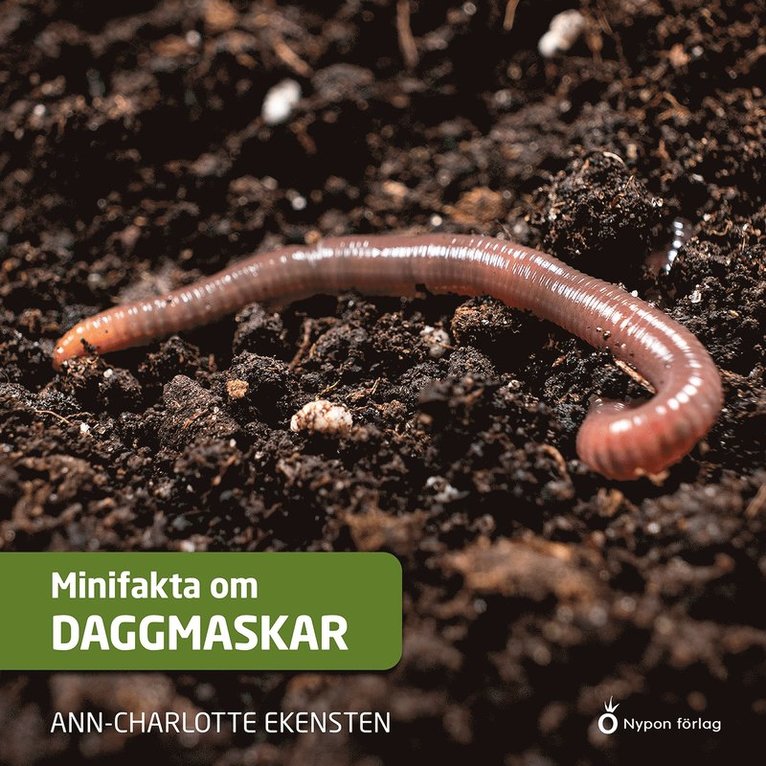 Ann-Charlotte Ekensten - Minifakta om daggmaskar, Ljudbok