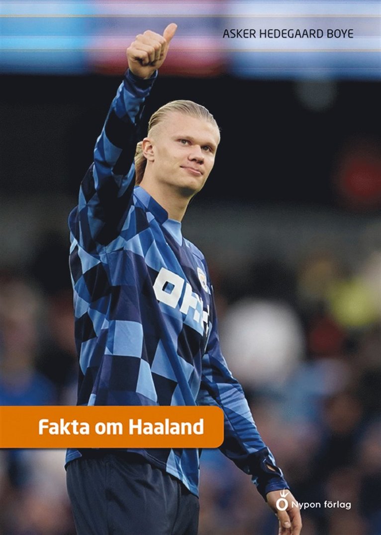 Asker Hedegaard Boye - Fakta om Haaland, E-bok