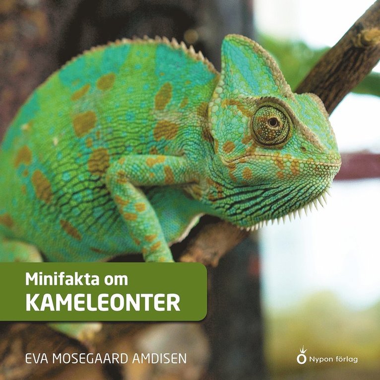 Eva Mosegaard Amdisen - Minifakta om kameleonter, Ljudbok