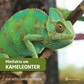Minifakta om kameleonter