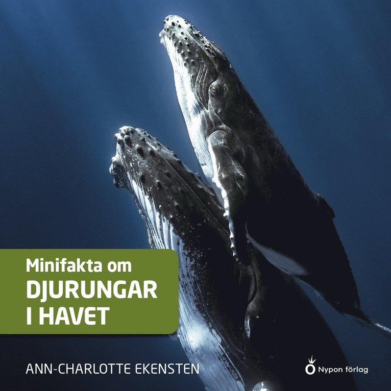 Ann-Charlotte Ekensten - Minifakta om djurungar i havet, Ljudbok