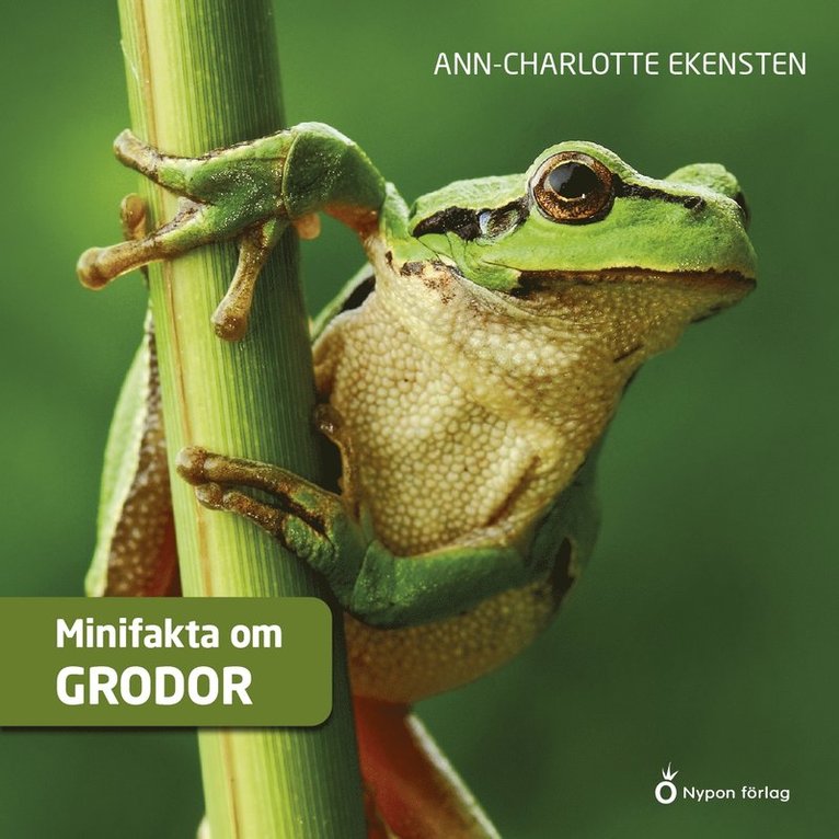 Ann-Charlotte Ekensten - Minifakta om grodor, Ljudbok