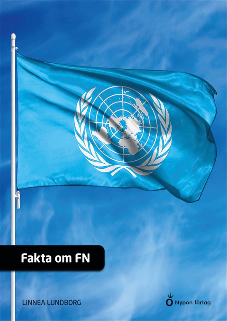 Linnea Lundborg - Fakta om FN, E-bok