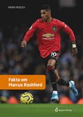 Fakta om Marcus Rashford