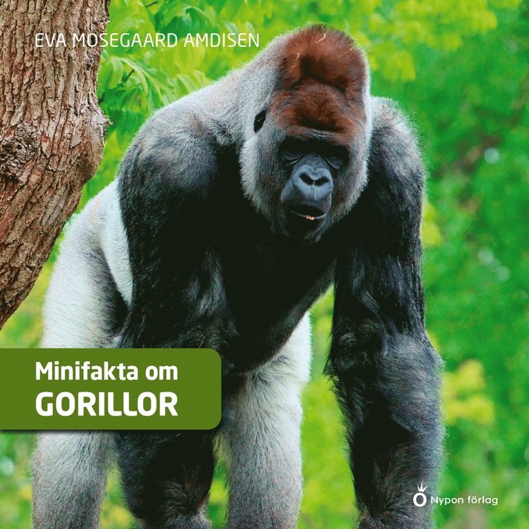 Eva Mosegaard Amdisen - Minifakta om gorillor, Ljudbok