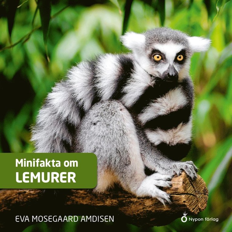 Eva Mosegaard Amdisen - Minifakta om lemurer, Ljudbok