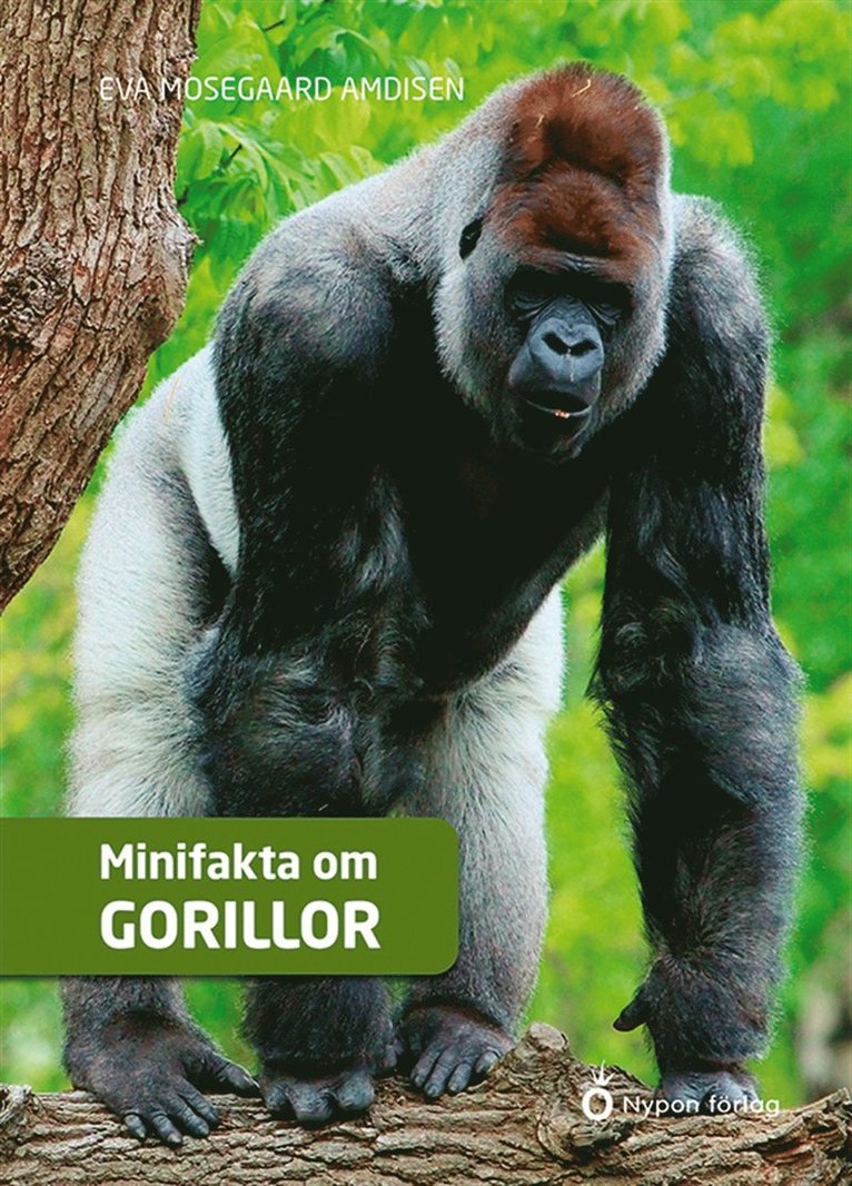 Eva Mosegaard Amdisen - Minifakta om gorillor, E-bok