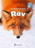 Rv