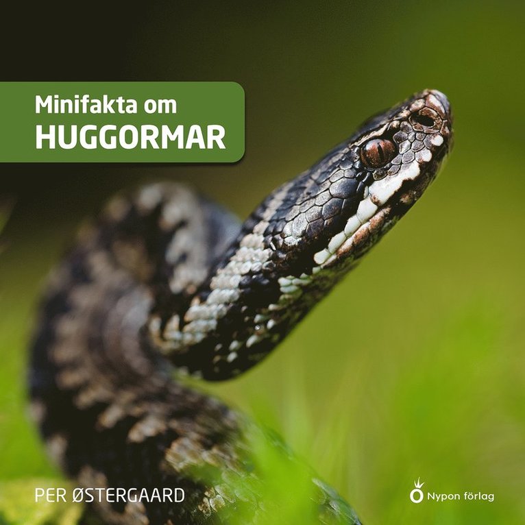 Per Østergaard - Minifakta om huggormar, Ljudbok