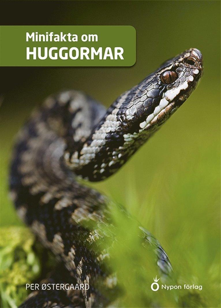 Per Østergaard - Minifakta om huggormar, E-bok