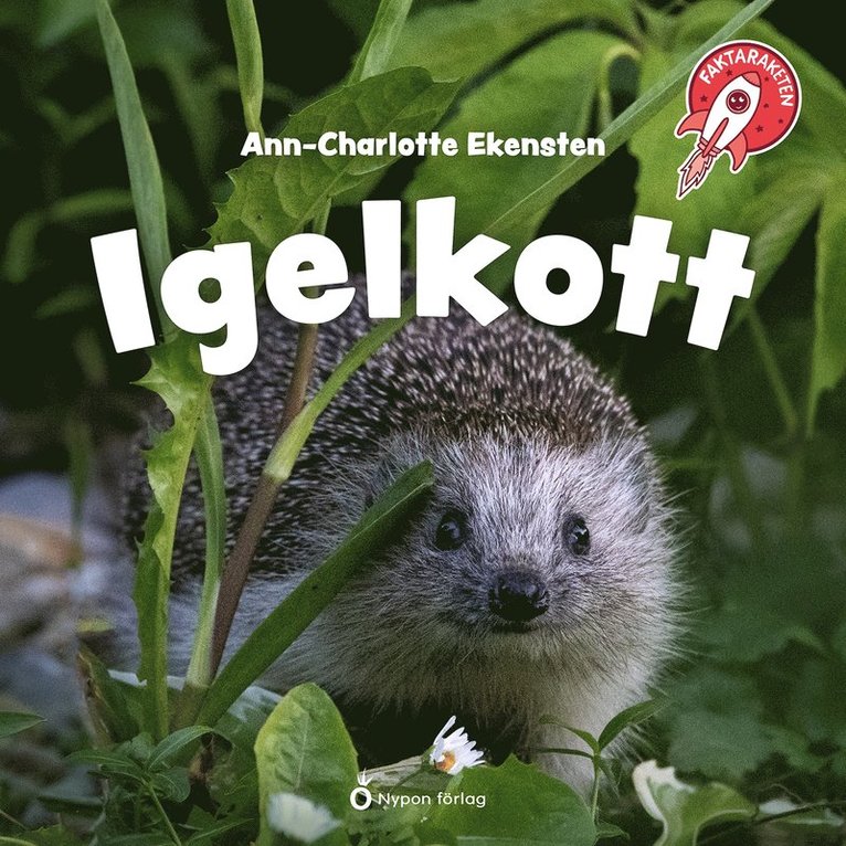Ann-Charlotte Ekensten - Faktaraketen - Igelkott, Ljudbok