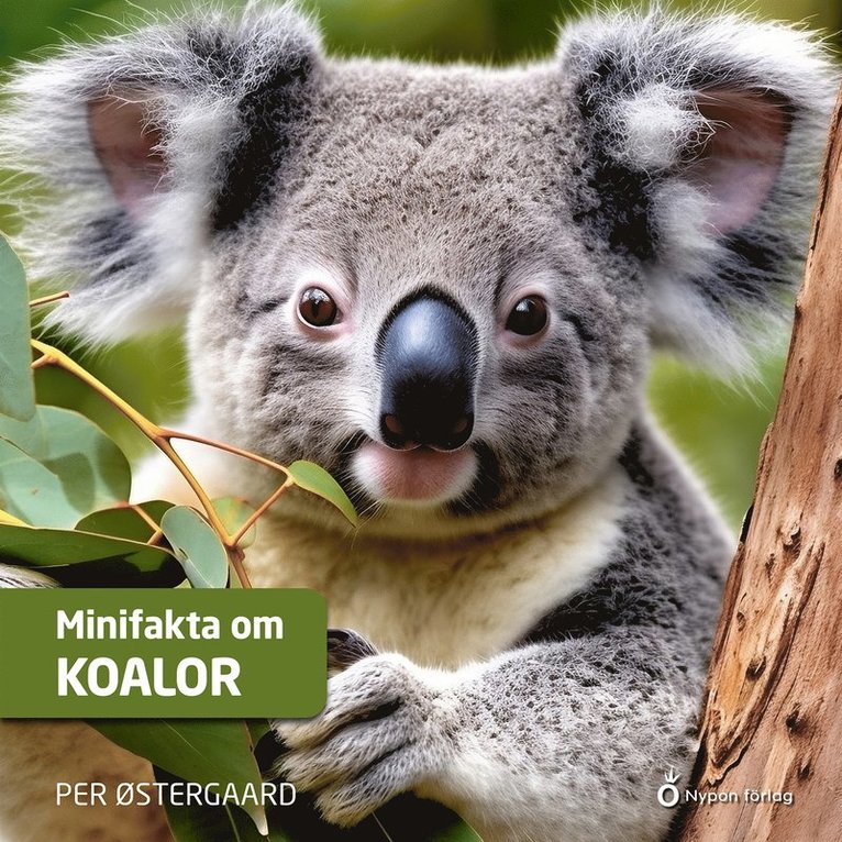 Per Østergaard - Minifakta om koalor, Ljudbok