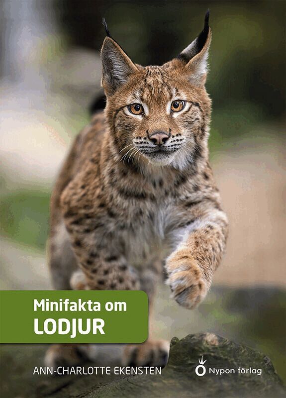Ann-Charlotte Ekensten - Minifakta om lodjur, Kartonnage