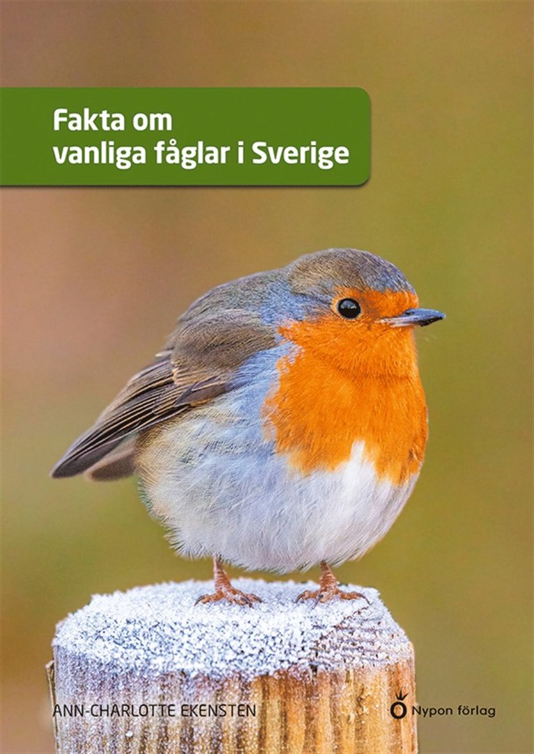 Ann-Charlotte Ekensten - Fakta om vanliga fåglar i Sverige, E-bok