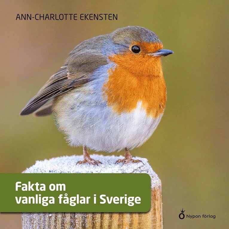 Ann-Charlotte Ekensten - Fakta om vanliga fåglar i Sverige, Ljudbok