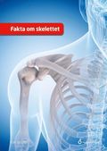 Fakta om skelettet