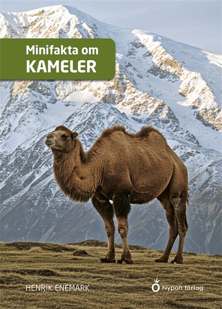 Henrik Enemark - Minifakta om kameler, E-bok