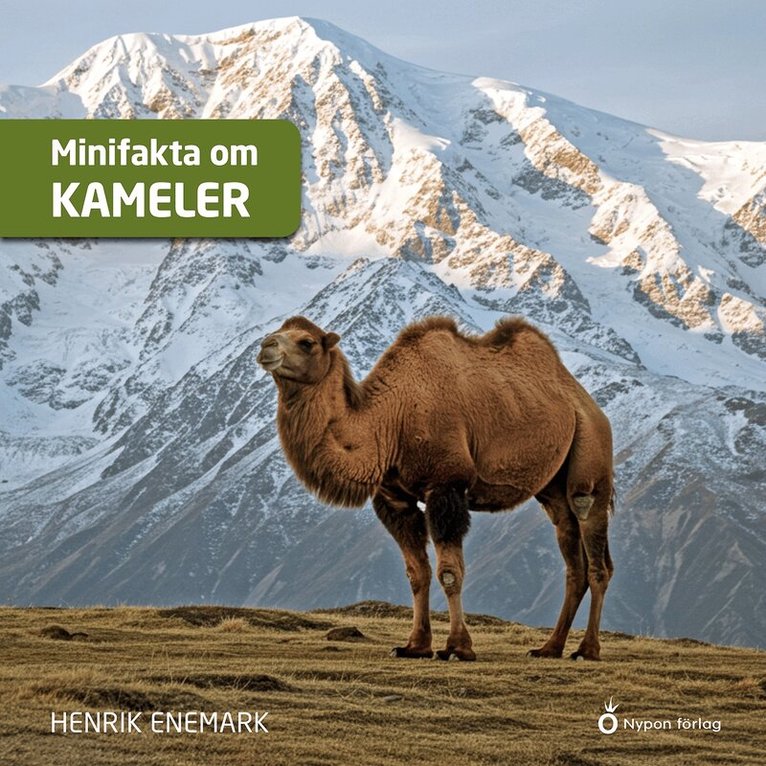 Henrik Enemark - Minifakta om kameler, Ljudbok