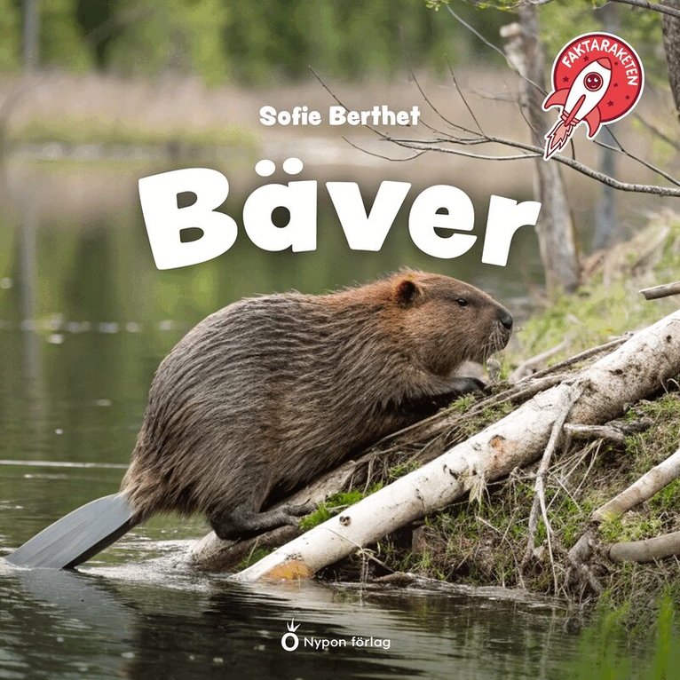 Sofie Berthet - Faktaraketen - Bäver, Ljudbok