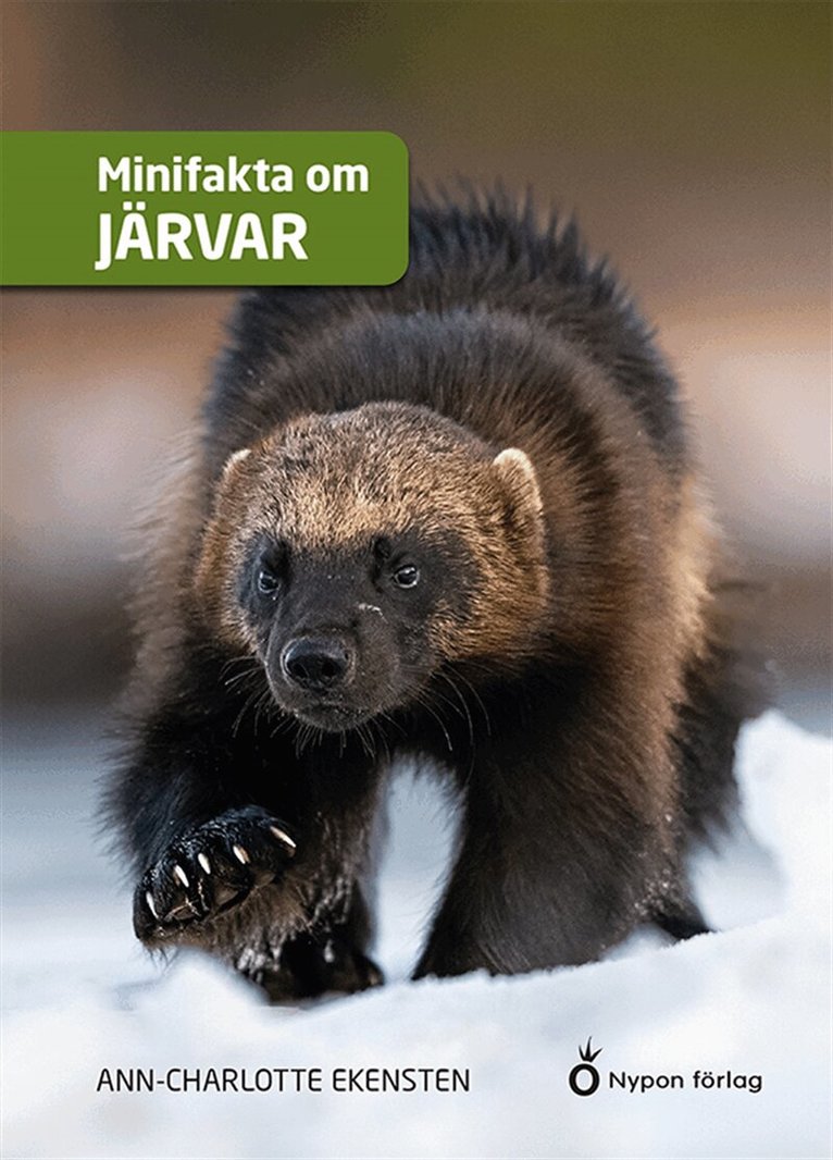 Ann-Charlotte Ekensten - Minifakta om järvar, E-bok
