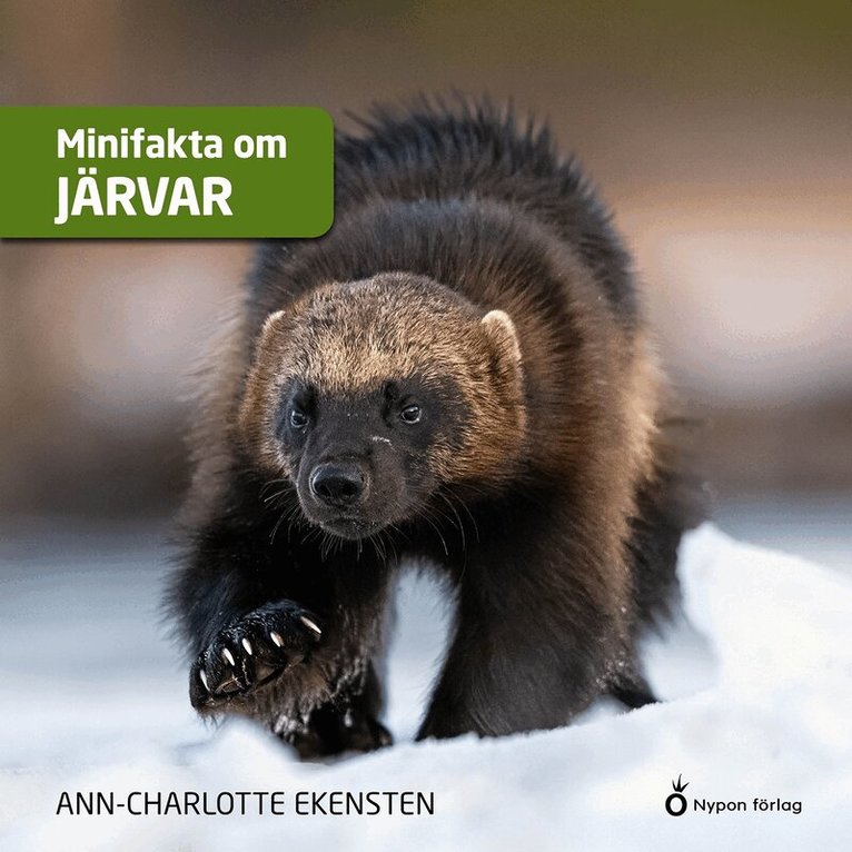 Ann-Charlotte Ekensten - Minifakta om järvar, Ljudbok