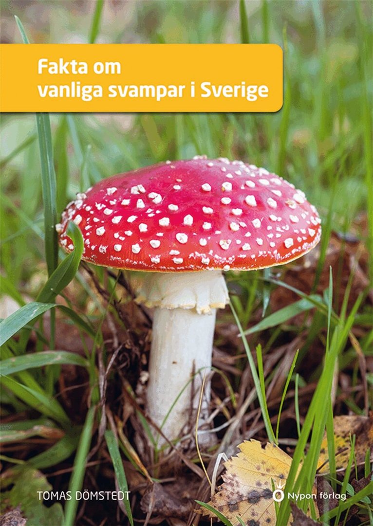 Tomas Dömstedt - Fakta om vanliga svampar i Sverige, E-bok