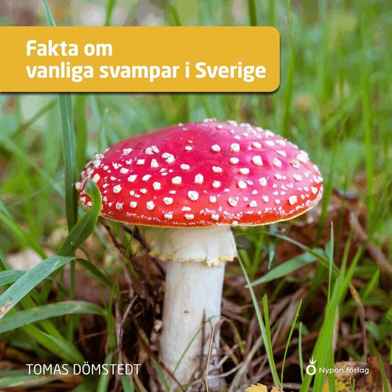 Tomas Dömstedt - Fakta om vanliga svampar i Sverige, Ljudbok