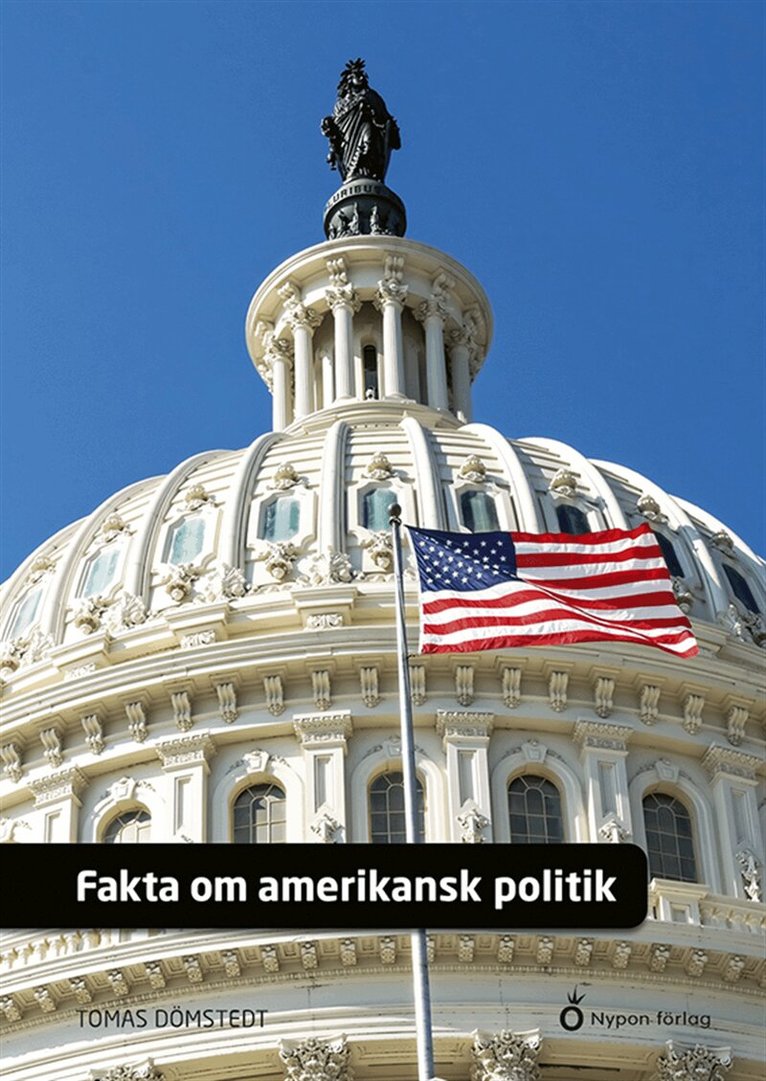Tomas Dömstedt - Fakta om amerikansk politik, E-bok