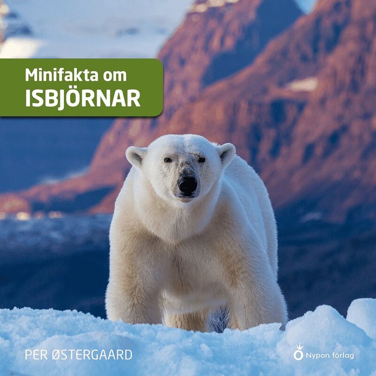 Per Østergaard - Minifakta om isbjörnar, Ljudbok