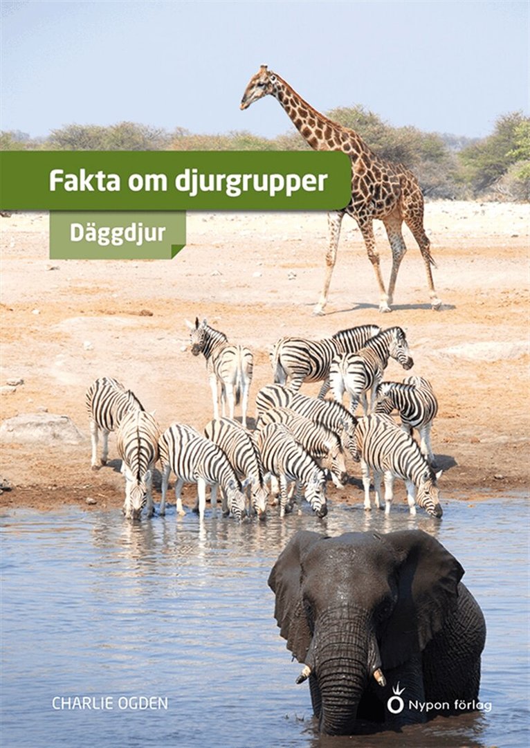Charlie Ogden - Fakta om djurgrupper - däggdjur, E-bok