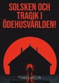 Solsken och tragik i dehusvrlden! : Nrke, stra Vrmland och Vstra Vst