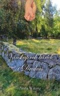 V�nskap och k�rlek i Drak�s