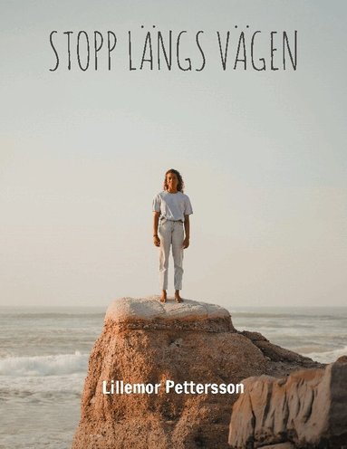 Stopp Längs Vägen : Sverige