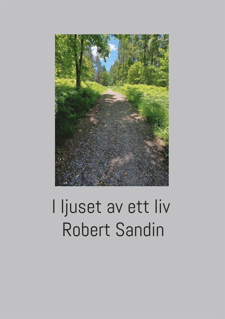 Robert Sandin - I ljuset av ett liv, E-bok