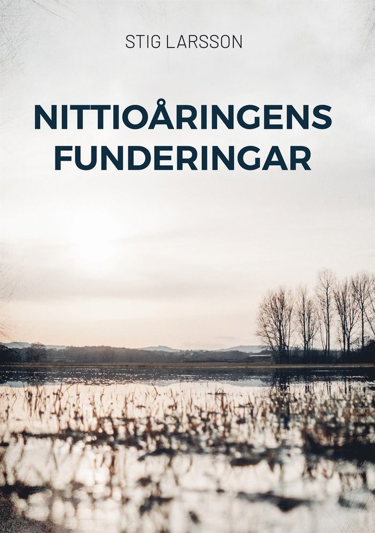 Stig Larsson - Nittioåringens funderingar, E-bok