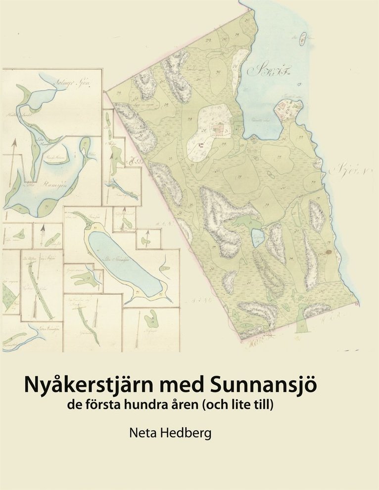 Neta Hedberg - Nyåkerstjärn med Sunnansjö: De första 100 åren (och lite till), E-bok