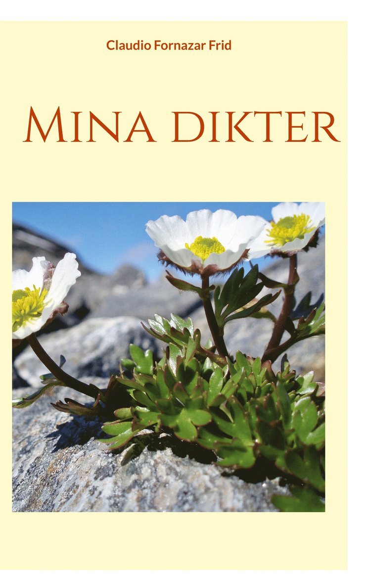 Claudio Fornazar Frid - Mina dikter, E-bok