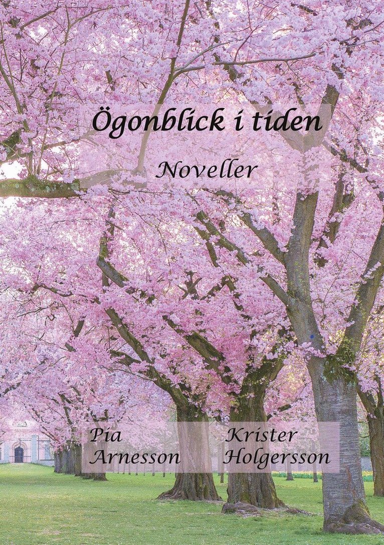 Pia Arnesson, Krister Holgersson - Ögonblick i tiden: Noveller, E-bok. Tillgänglighet: Lägg i varukorg