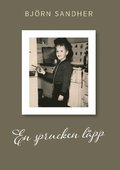 En sprucken lpp