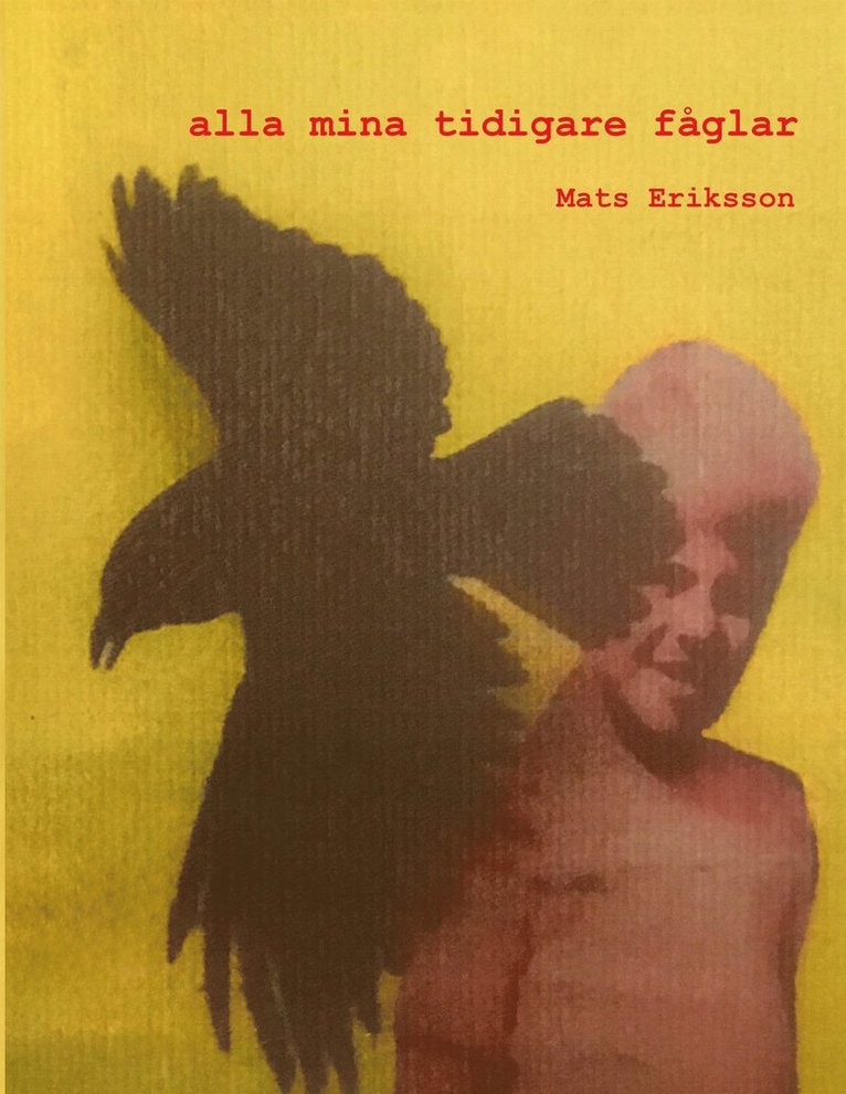 Mats Eriksson - alla mina tidigare fåglar, E-bok