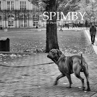 SPIMBY: Street Photography In My Back Yard
