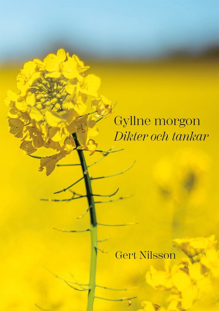 Gert Nilsson - Gyllne morgon: Dikter och tankar, E-bok