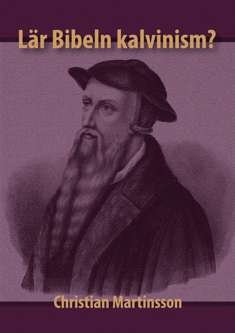 Christian Martinsson - Lär Bibeln kalvinism, E-bok