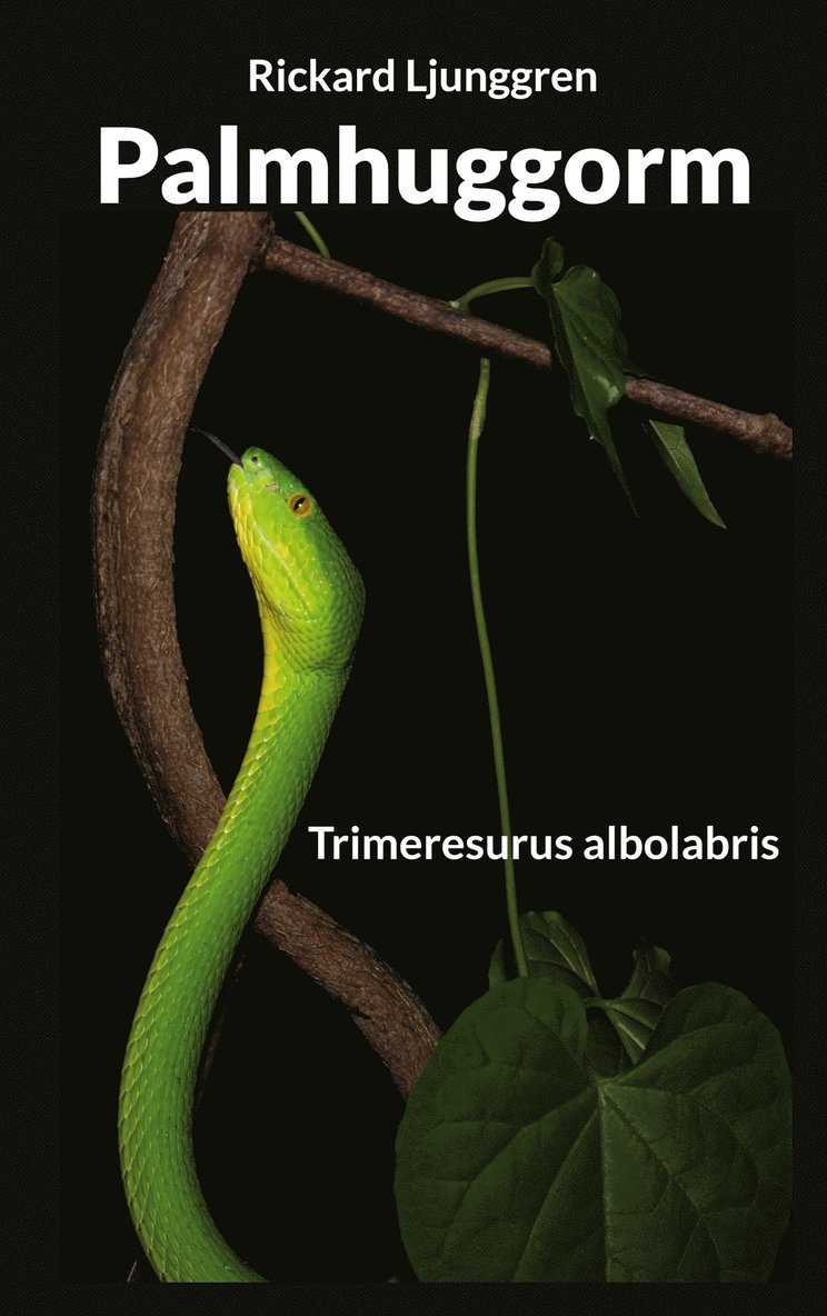 Rickard Ljunggren - Palmhuggorm: Trimeresurus albolabris, E-bok